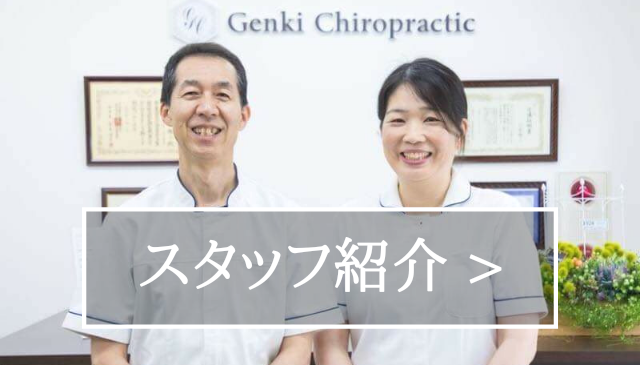 スタッフ紹介