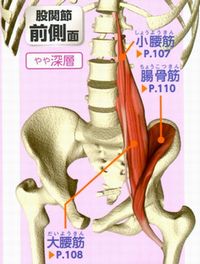 腸腰筋