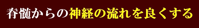 脊髄からの神経の流れを良くする