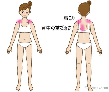 左肩甲骨の内側が痛くて重だるい女性が改善した経緯 門真の整体 他院の先生を技術指導する技術力 元氣カイロプラクティック院