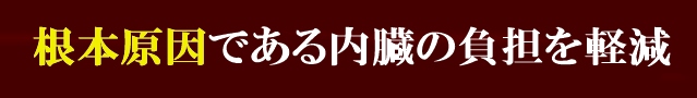 根本原因である内臓の負担を軽減