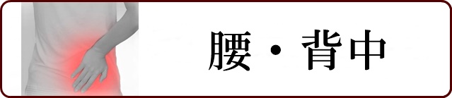 腰・背中の症状