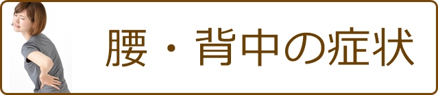 腰・背中の症状