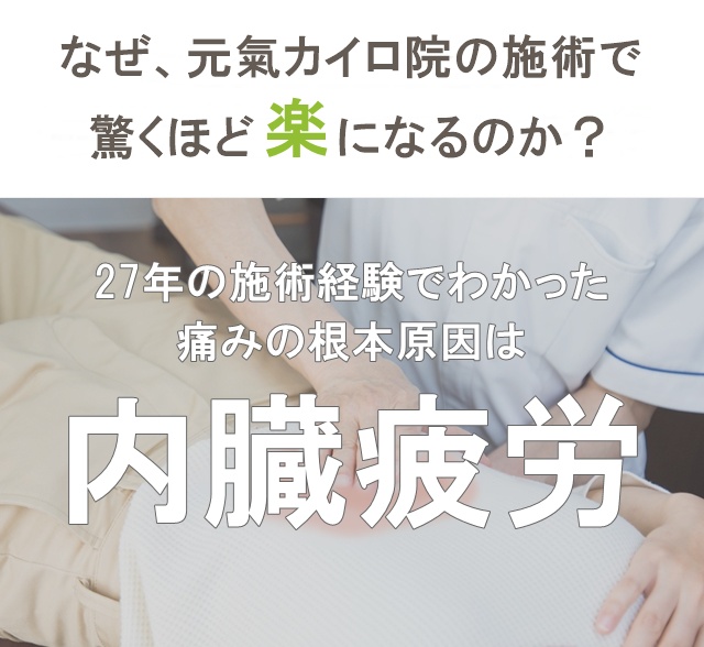 痛みしびれの根本原因は内臓疲労