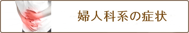 主な対応症状(婦人科系)