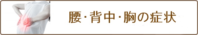 主な対応症状(腰・背中・胸)