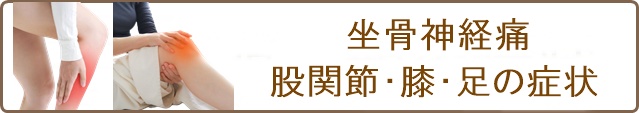 主な対応症状(坐骨神経痛・股関節・膝・足)