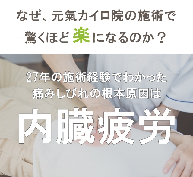 痛みしびれの根本原因は内臓疲労